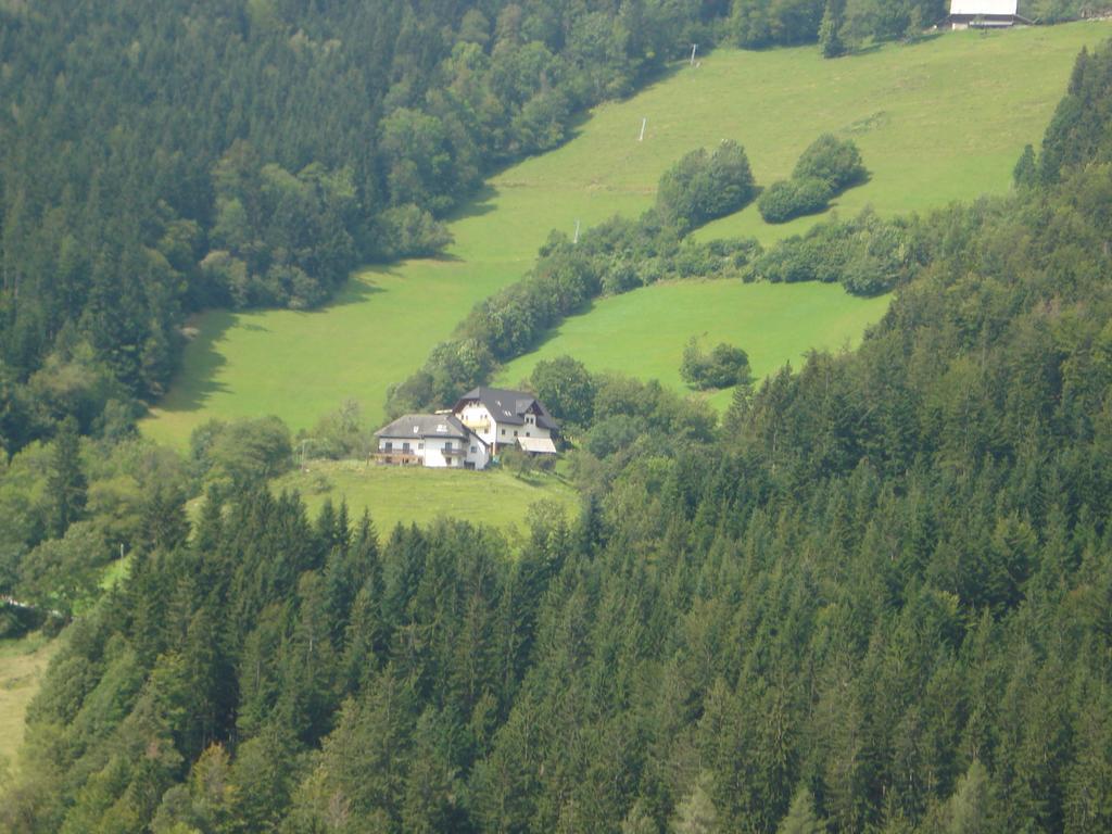 Farmstay Hisa Pecovnik Luce Exterior photo